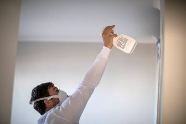 Best Emergency Mold Removal  in Waretown, NJ