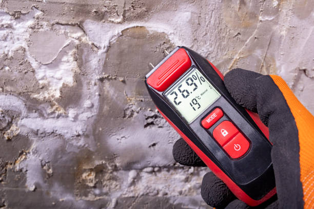 Best Mold Remediation Experts  in Waretown, NJ